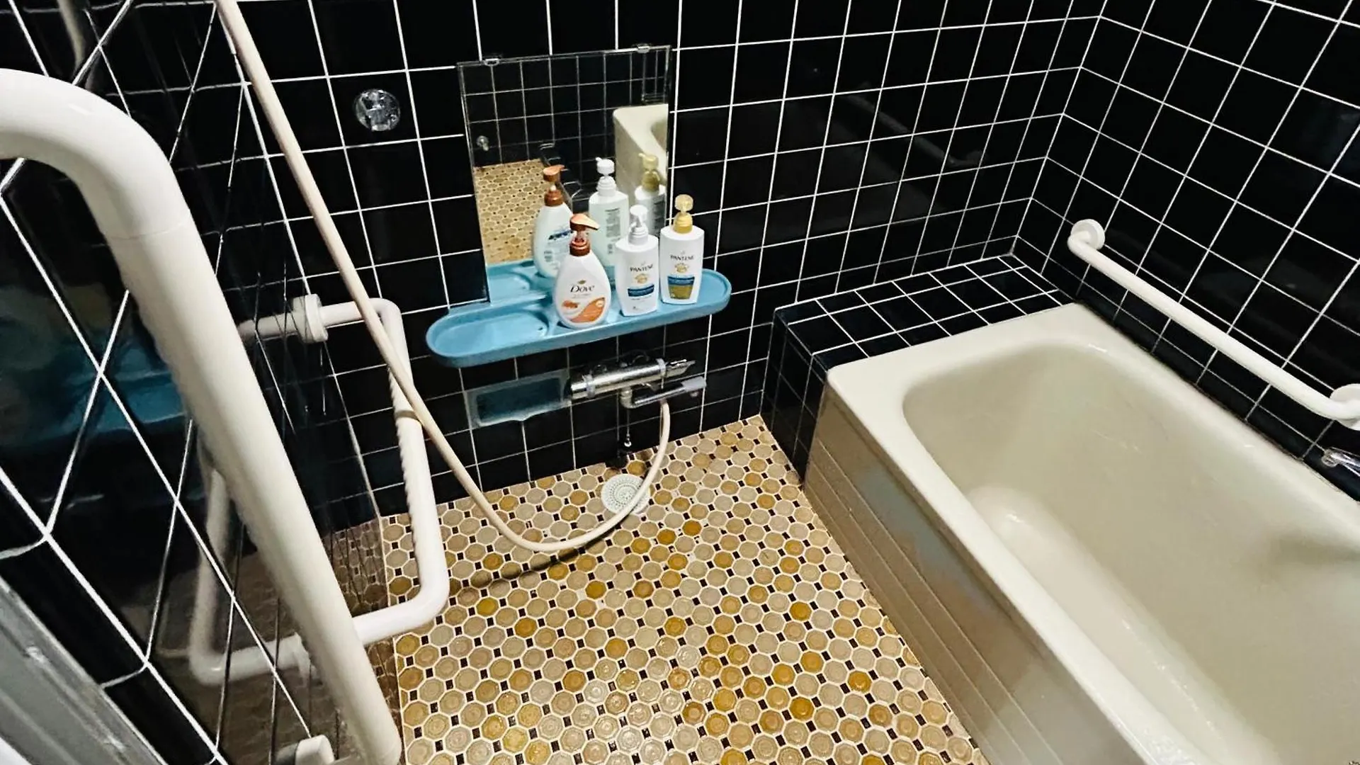 Aprilhouse2F Apartment Tokyo 0*,  Japan